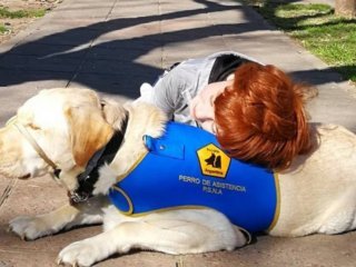 Le prohibieron entrar a Manolo a un nene autista por estar con su perro guía