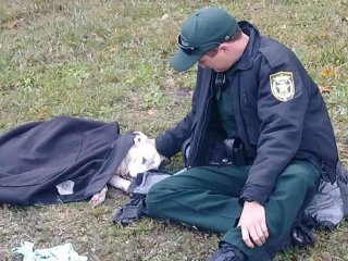 La imagen de un policía que abrigó a una perra herida que dio vuelta al mundo