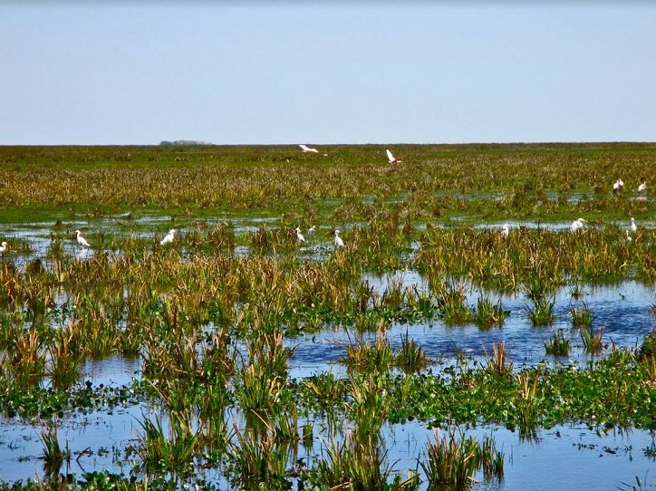 El Parque Nacional Iberá esLey