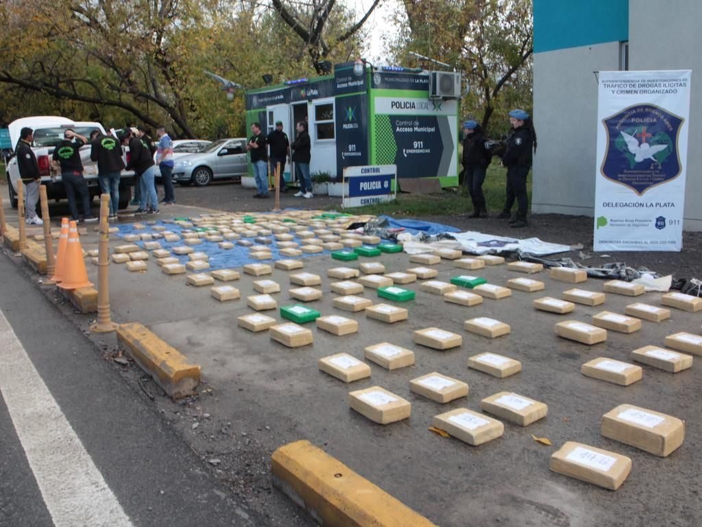 Traían a La Plata media tonelada de marihuana entre alimento para perros