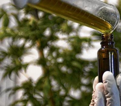 Hurlingham aprobó la producción pública de cannabis medicinal