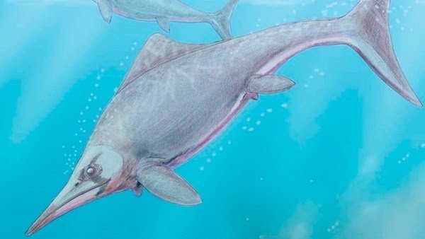 Científicos de La Plata hallaron un reptil marino de 150 millones de años en la Patagonia