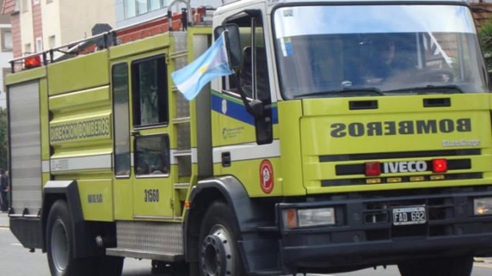 Bomberos de La Plata rescataron a una perrita ciega que se estaba ahogando en una zanja