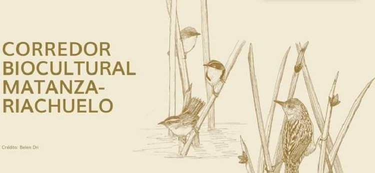 Recursos.La importancia del Corredor Biocultural Matanza Riachuelo.