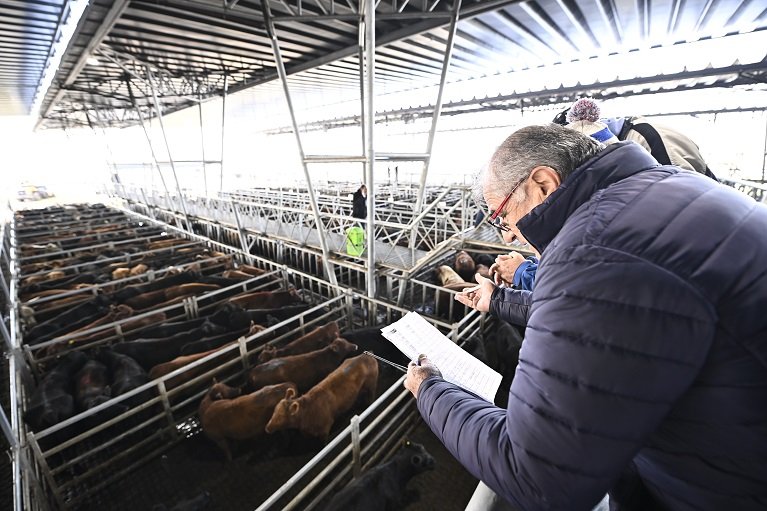 Kicillof Se realizó la presentación formal del Mercado Agroganadero de Cañuelas