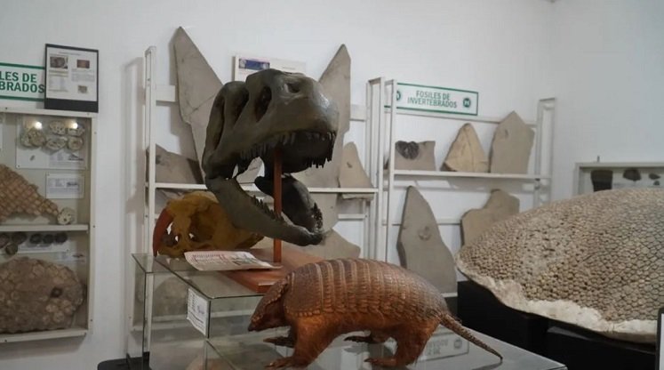 Llegó el Museo Interactivo de Naturales a San Antonio de Padua