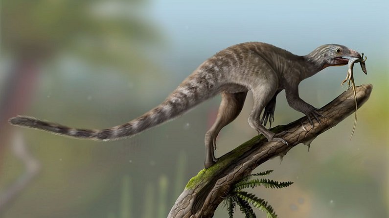 Un fósil revela cómo eran los ancestros de los reptiles voladores