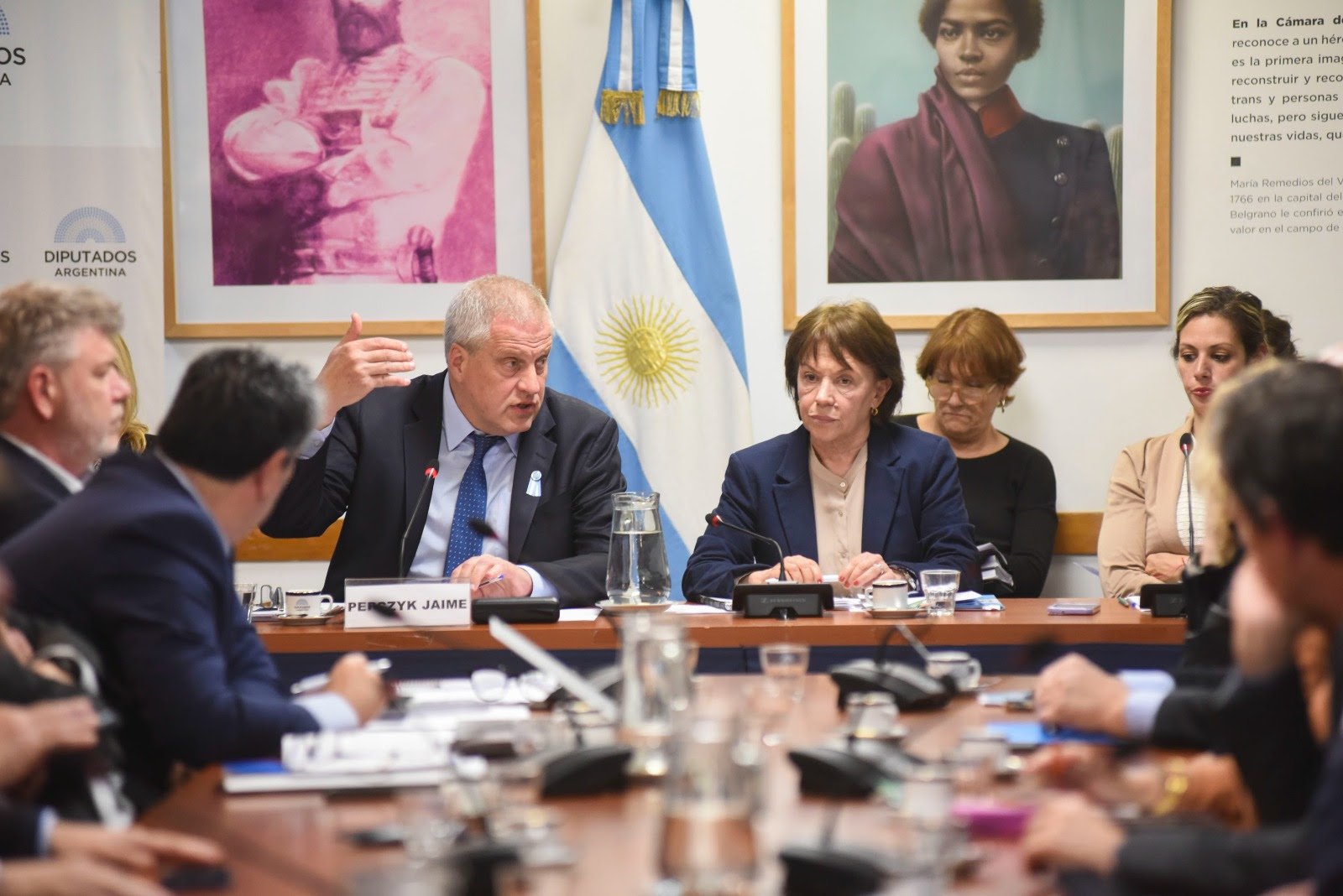 Perczyk Perczyk expuso en el Congreso