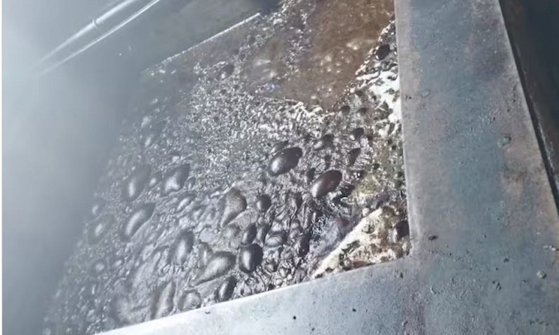 Un hombre murió en una chacra de Berisso.