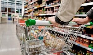 Foods,  Which foods had the highest and lowest increases in 2024?