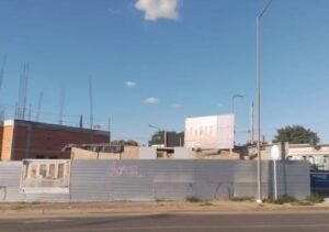 Hospital in La Matanza dedicated exclusively to animals.