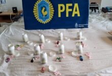 La PFA secuestró gran cantidad de drogas.