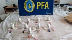 La PFA secuestró gran cantidad de drogas.