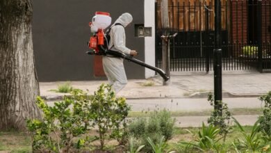 Dengue. El Gobierno local refuerza la campaña de prevención.