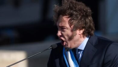 Ajuste. Javier Milei fue entrevistado en el programa Neura.