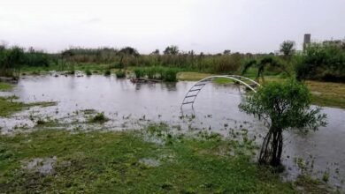 La Reserva Natural de Laferrere, clave para mitigar inundaciones