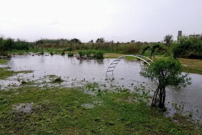 La Reserva Natural de Laferrere, clave para mitigar inundaciones