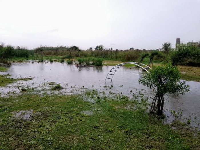 La Reserva Natural de Laferrere, clave para mitigar inundaciones