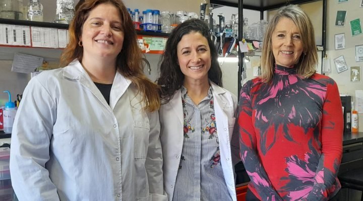 Investigación. Vacuna contra la brucelosis porcina.