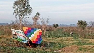 Predio. Resistencia verde en Virrey del Pino.