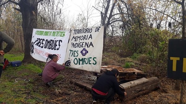 Comunidad. Plantación de árboles nativos.