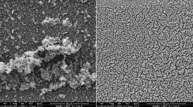CONICET. Nuevo hallazgo científico.