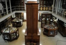 El Museo de Farmacobotánica “Juan A. Domínguez”.