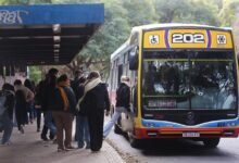 La medida abarca los servicios regulares urbanos