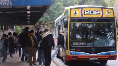 La medida abarca los servicios regulares urbanos