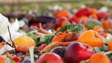 Desperdicio. Producir alimentos implica consumo de agua.