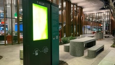 Proyecto. El CONICET transforma CO2 en oxígeno y biomasa.