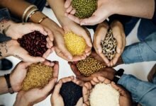 ONU. Inseguridad alimentaria en América Latina.