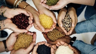 ONU. Inseguridad alimentaria en América Latina.