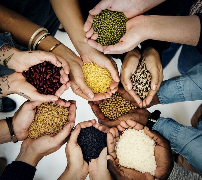 ONU.  Inseguridad alimentaria en América Latina. 