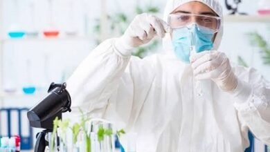 Ambiente. Pesticidas de ARN.