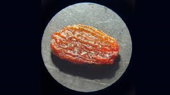 Un proyecto para mejorar la calidad de las pasas de uva.