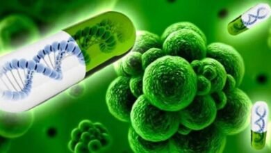 Enfermedades. Zoonosis, una problemática que crece.