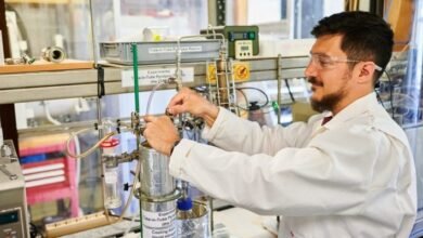 El bioaceite fue sometido a diversos tratamientos.