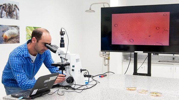 Salud. Convierten residuos cerveceros en innovación 