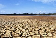 El CECC-LAC. América Latina suma un Centro de Excelencia.