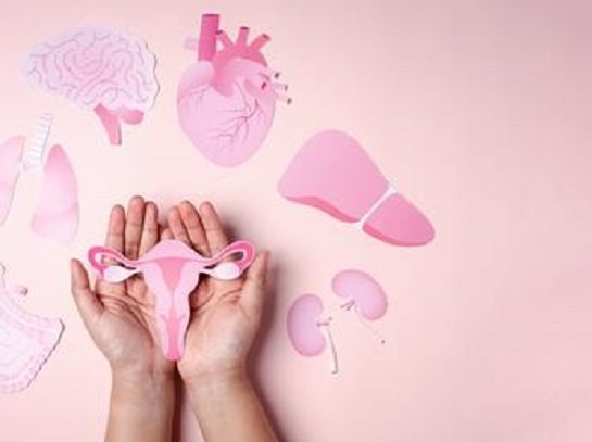 Climaterio como parte de la salud integral.