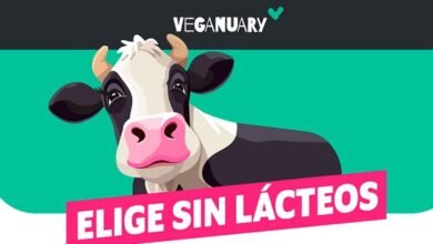 Repostería vegana. #EligeSinLácteos.