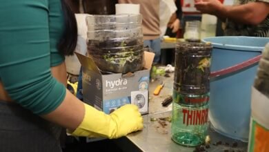 Estos cursos se dictan de manera presencial en el CITLAM.