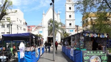 Emprendimientos locales: Apoyo municipal.