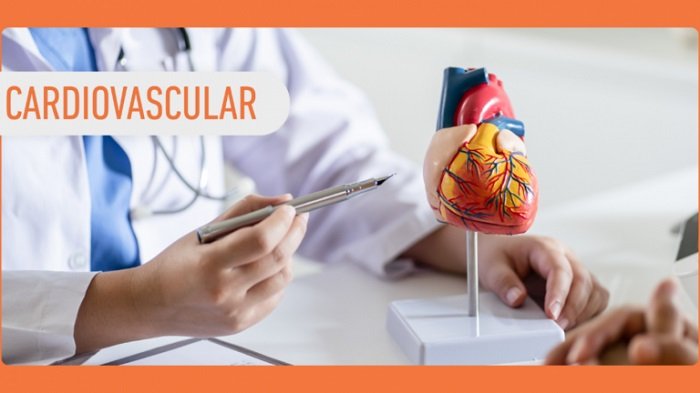 Cardiología. Unidad Funcional Cardiovascular.