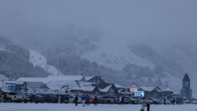 Turismo. Impacto en 2025.