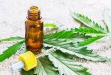 Cannabidiol en epilepsias severas. Estudio argentino.