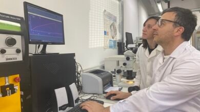 Científicos. Polímeros biodegradables.