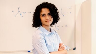 Investigación. mecanismos de replicación del dengue.