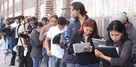 Empleo. La desocupación femenina aumentó.